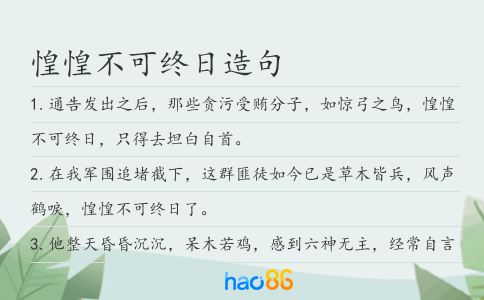 惶惶不可终日造句