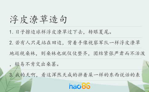 浮皮潦草造句