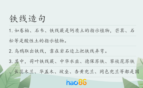 铁线造句