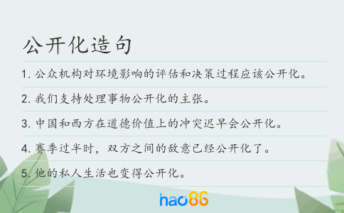 公开化造句