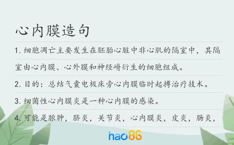心内膜造句