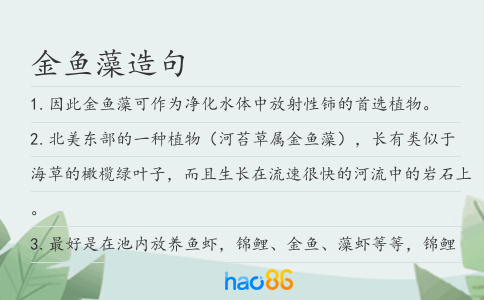 金鱼藻造句