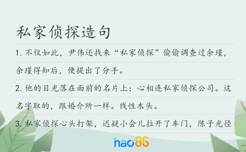 私家侦探造句