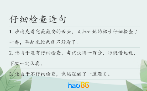 仔细检查造句