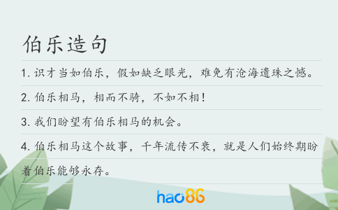 伯乐造句