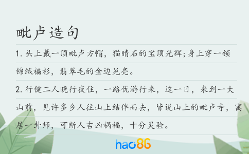 毗卢造句
