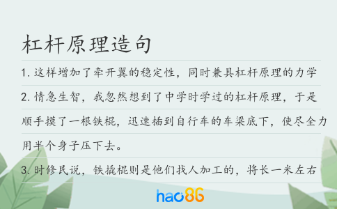 杠杆原理造句