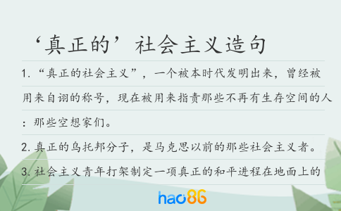 ‘真正的’社会主义造句