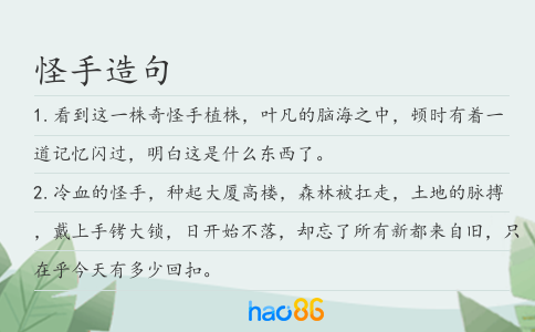 怪手造句
