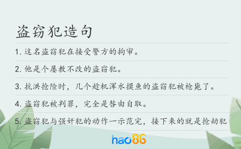 盗窃犯造句