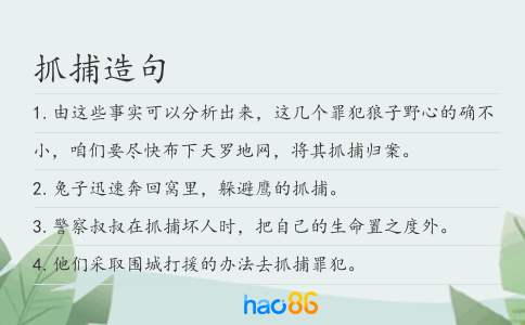 抓捕造句