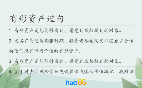 有形资产造句