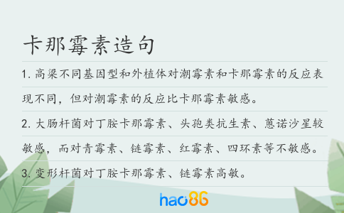 卡那霉素造句
