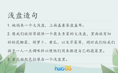 浅盘造句