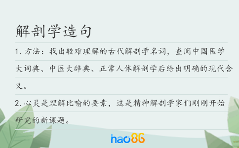 解剖学造句