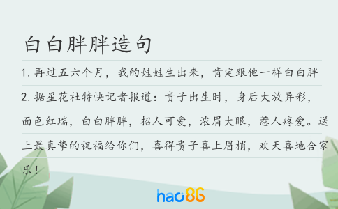 白白胖胖造句