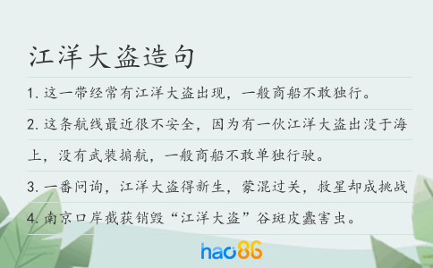 江洋大盗造句