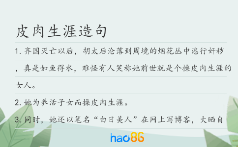 皮肉生涯造句