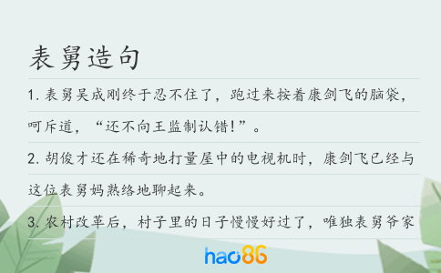 表舅造句