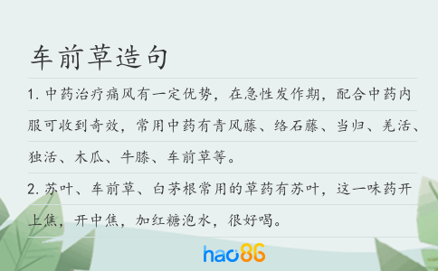 车前草造句
