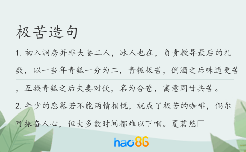 极苦造句