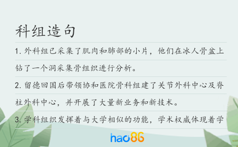科组造句