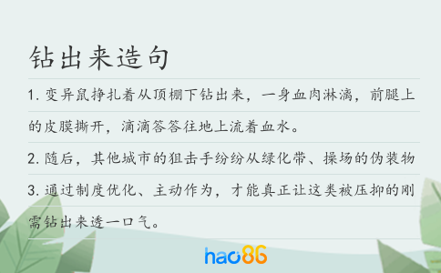 钻出来造句