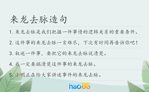 来龙去脉造句