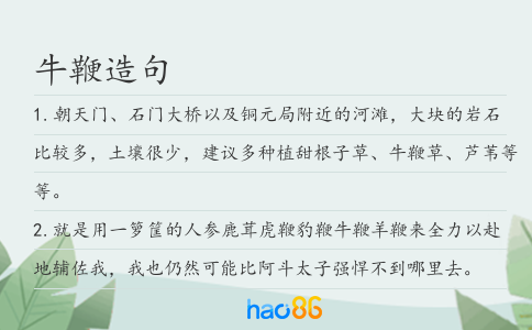 牛鞭造句