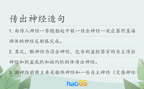 传出神经造句