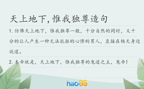 天上地下,惟我独尊造句