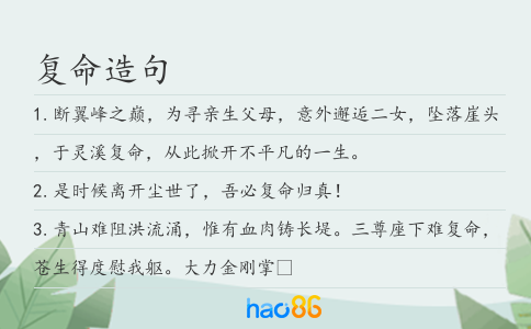 复命造句