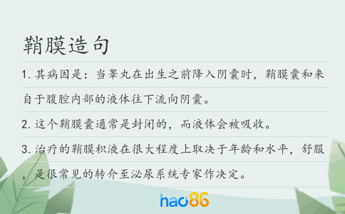 鞘膜造句