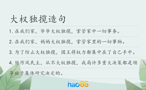 大权独揽造句