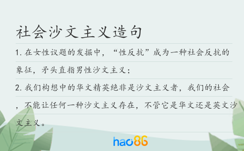 社会沙文主义造句