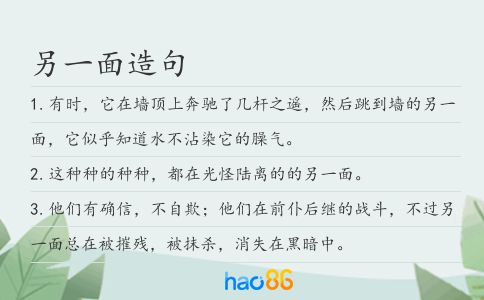 另一面造句