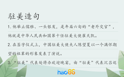 驻美造句