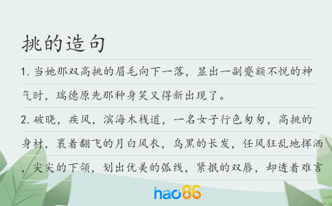 挑的造句