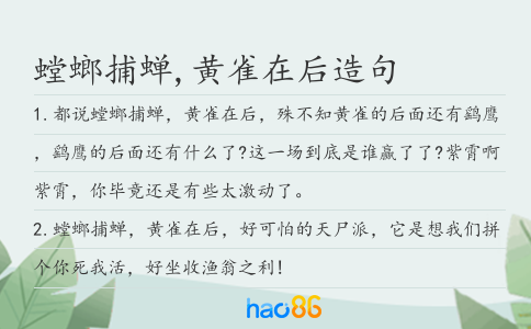 螳螂捕蝉,黄雀在后造句