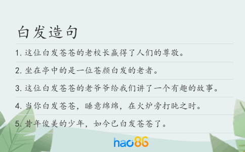 白发造句