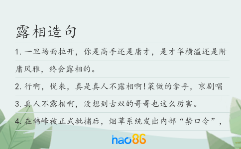 露相造句
