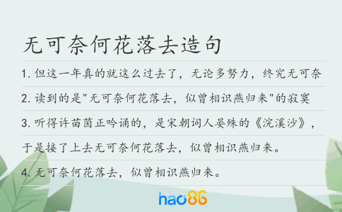 无可奈何花落去造句