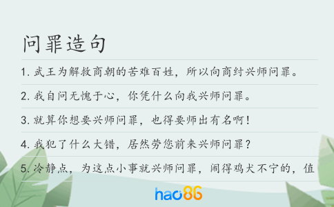 问罪造句