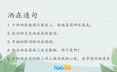 洒在造句