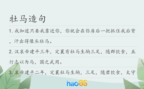 牡马造句