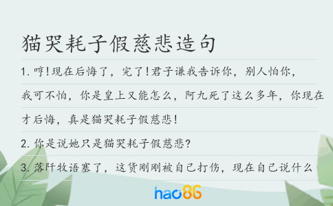猫哭耗子假慈悲造句