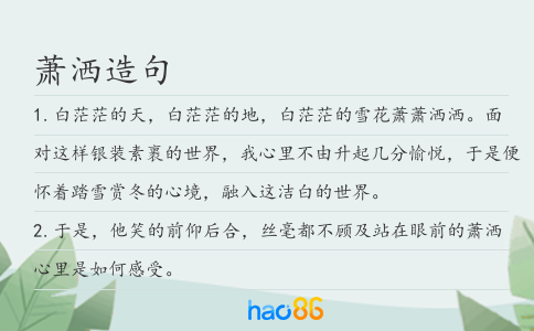 萧洒造句