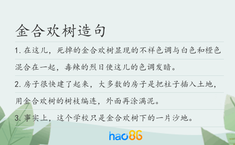 金合欢树造句