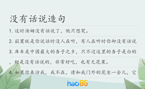 没有话说造句