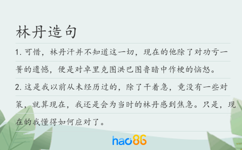 林丹造句
